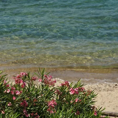 Casa A 10m Dal Mare